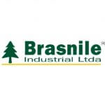 logo_brasnile